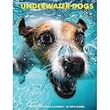 Underwater Dogs 2015 Weekly Engagement Calendar