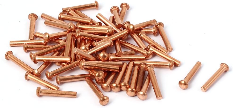 Sourcingmap 13mm Length 2mm x 12mm Round Head Copper Solid Rivets Fasteners Gold Tone 40 Pcs
