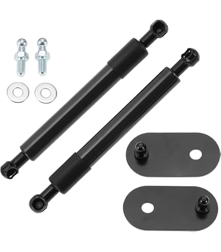 Amazon.com: TSUBASA Rear Window Glass Struts for Acura NSX NA1 NA2