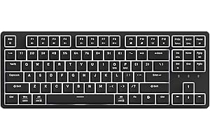 IROK FE87/104 S hot-swappable Gaming Keyboard， backlighting Mechanical Keyboard, Silenced Construction, Type-C Wired Keyboard for Mac Windows -Black-Red Switch