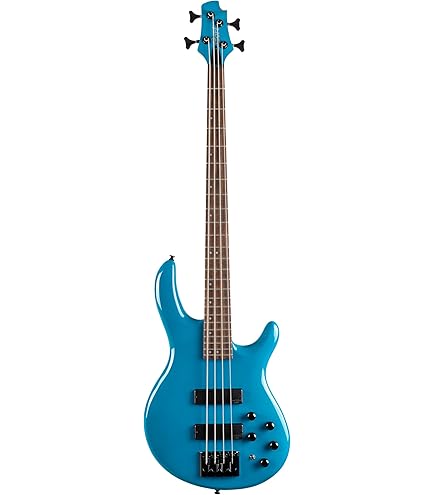 Amazon.com: Cort Artisan Series B4 Element Bass Guitar, Open Pore