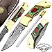 Best.Buy.Damascus1 Multi Color Wood 5.5'' Custom Handmade Damascus Steel Double Brass Bloster with Sharpening Rod Folding Pocket Knife Back Lock Prime Quality Come with Leather Sheath