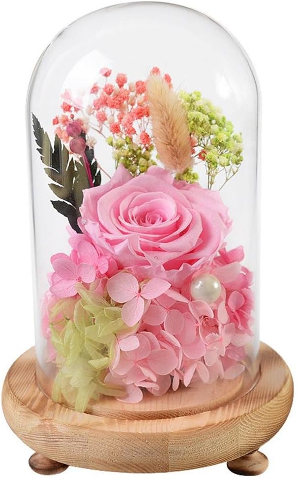 Preserved Fresh Flower Rose Eternal Flower Glass cover Valentine's Day birthday present Christmas gifts Home Crafts, single pink roses glass (eclat branch)
