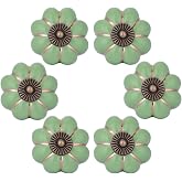 Wolfteeth Green Cabinet Knobs, Unique Dresser Knobs, 6pcs | Ceramic with Antique-looking Brass Highlights,1.5 inch,Comfortable to Grip,3 Screw Sizes,Easy to Install,For Kitchen,Bathroom