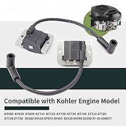32-584-06-S Ignition Coil Module 2 Pack Compatible