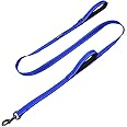 Max and Neo Double Handle Traffic Dog Leash Reflective - We Donate a Leash to a Dog Rescue for Every Leash Sold (Blue, 6 FT)