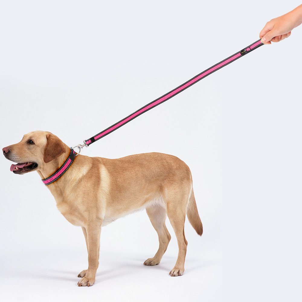 Reflective Dog Leash, Strong & Heavy Duty Pet Leash, Lightweight & Washable Soft Mesh, Handle Lead for Greater Control Safety Training, Walking, Running- Suitable For Small/Medium/Large Dogs