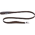 Ruffwear, Front Range Dog Leash, 5 ft Lead with Padded Handle for Everyday Walking, Moonlight Fade
