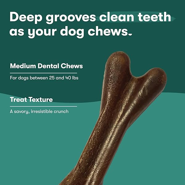 JINX DENTAL CHEWS FOR MEDIUM DOGS, ALL NATURAL, DEEP-GROOVED FOR TEETH CLEANING & TARTAR CONTROL, PEPPERMINT OIL FOR FRESH BREATH, 8.8OZ, 5 PACK
