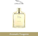 Jaguar Classic Gold Eau de Toilette 100ml for Men - Fresh Woody Spicy Scent view 4