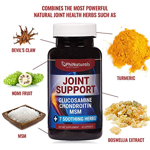 Glucosamine Chondroitin MSM Joint Supplements Health Supplement