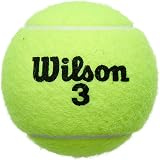 Wilson Roland Garros Official Tennis Balls 4 Pack Yellow Unisex view 4