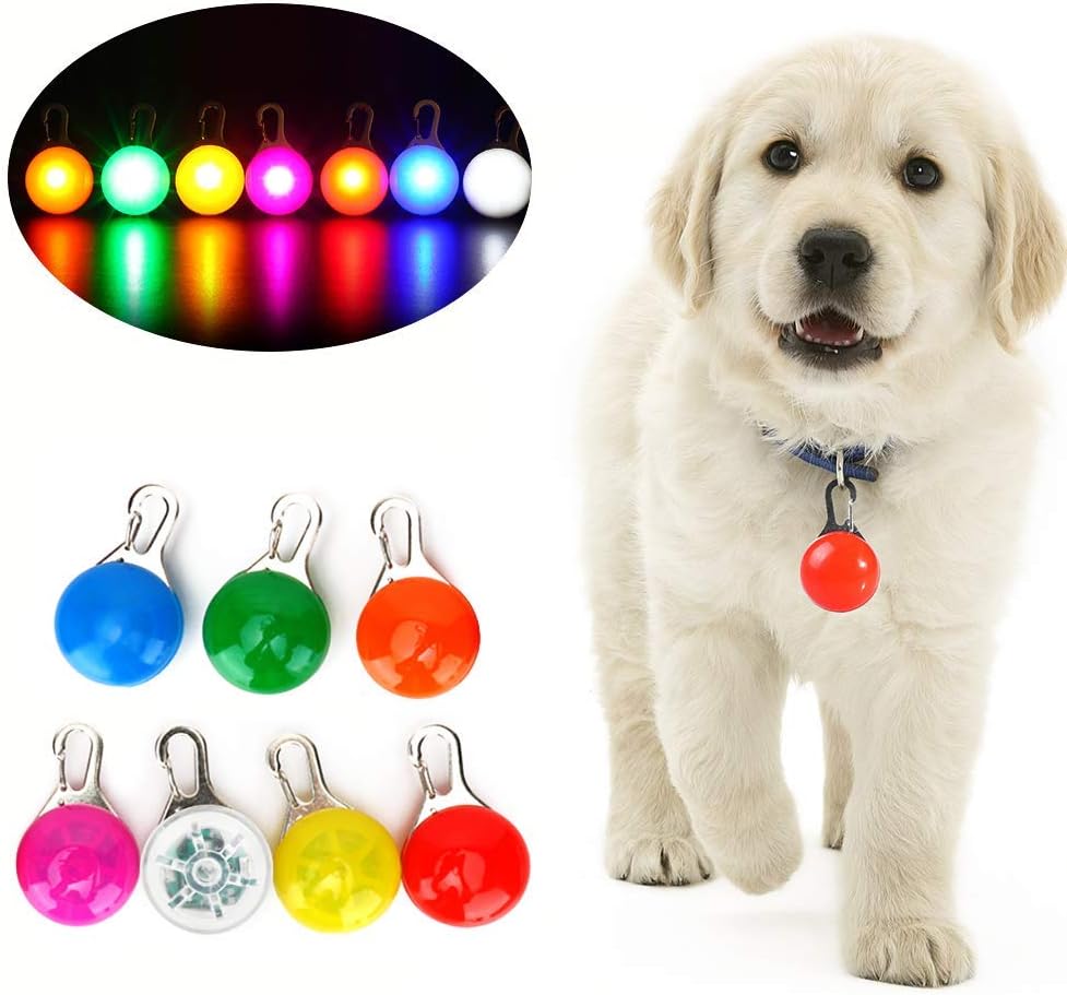 Wodondog Collar LED Gatos Perro, Luz Collar Luminoso Perro 7 ...