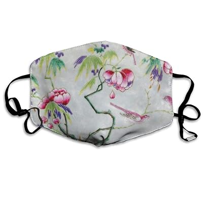 Chinese Flowers And Bird Painting Special Dust Mouth Mask Reusable Anti-Dust Face Mask Adjustable Earloop Skin Protection