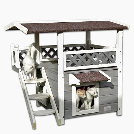 outdoor cat house near me