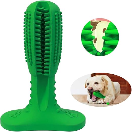 juguete dental perro