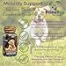 Primo Pup Vet Health Hip & Joint Supplement | with Glucosamine, Chondroitin & MSM | Enhances Joint Health for Dogs | Supports Cartilage & Connective Tissue | Veterinarian Developed | 30 Soft Chews