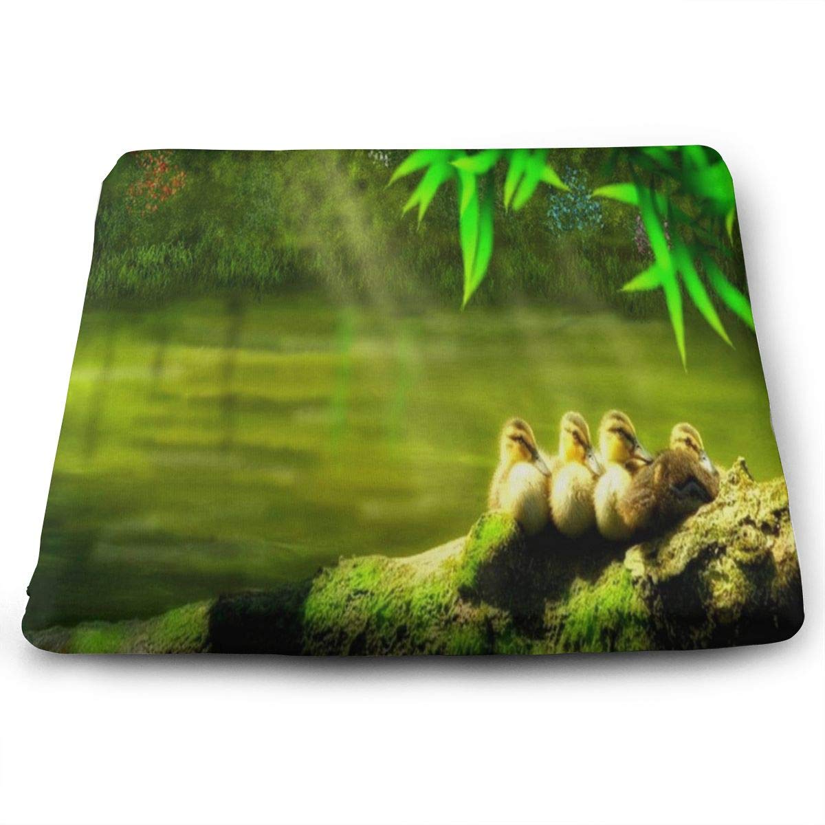 Amazon Com Seat Cushion Color Hexagon Periodic Table Chair