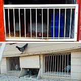 FOXCUP Pigeon Door Wire Bars Frame Entrance Trapping Loft Supplies Racing Birds view 3