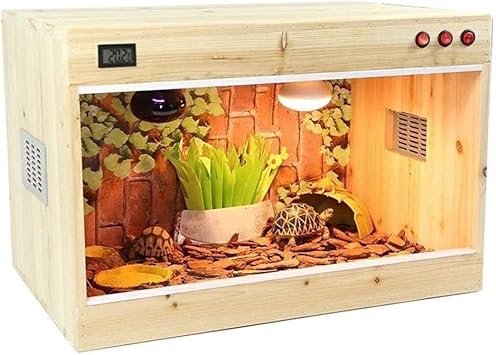 vivarium wood decor