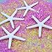 LJY 25 Pieces 3.15 Inches White Resin Pencil Finger Starfish for Wedding Home Decor and Craft Project