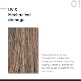 Minimalist Maleic Bond Repair 05% Hair Serum Amino Acids Argan Oil 50ml All view 6