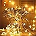 Rymbo String Lights, 34ft Indoor/Outdoor Star Shape Lights LED Warm White Twinkle Lights & USB Powered &Transparent String Cable & Remote Adapter