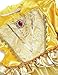 Princess Belle Deluxe Yellow Party Dress Costume (6-7, Style 3)