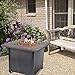 Endless Summer GAD1420M LP Gas Outdoor Fire Table, Multi Color