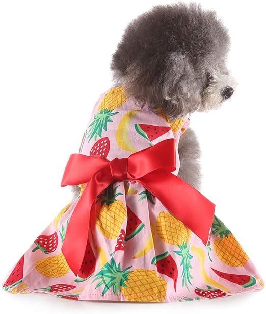 pet dog dress