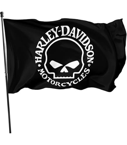 Harley-Davidson Targa Rotonda In Latta – Willie G Skull Logo, Argento Spazzolato, Diametro 30.5 Cm - 4