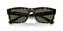 Ray-Ban Men's RB4396 Warren Rectangular