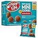 Enjoy Life Soft Baked Mini Cookies, Soy free, Nut free, Gluten free, Dairy free, Non GMO, Vegan, Snickerdoodle, 1 Ounce Packs (Pack of 36)