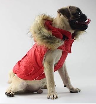 dog snowsuit uk