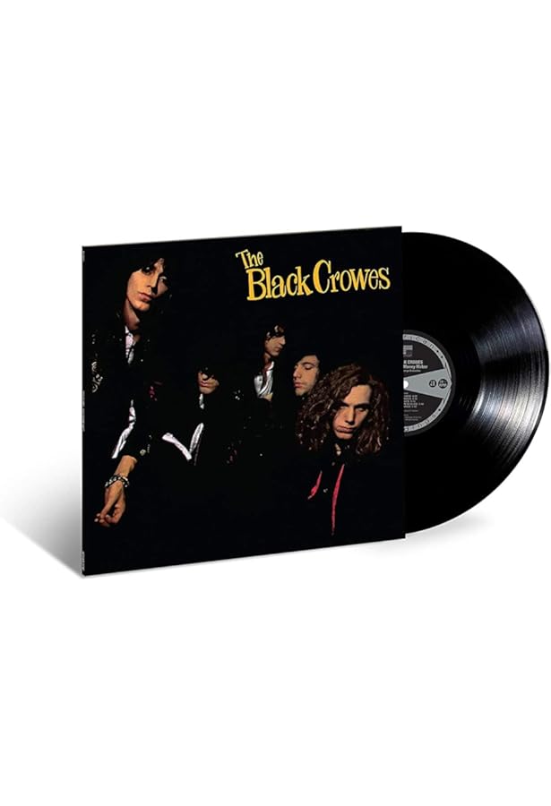 Amazon.com: Shake Your Money Maker [LP]: CDs & Vinyl