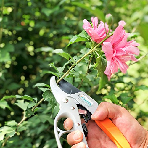 Morrita Ratchet Hand Pruning Shears Anvil Garden Clippers Tree Trimmers