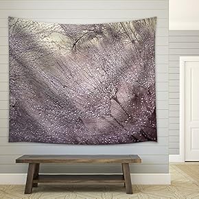 Abstract Macro Photo with Water Drops. Dandelion Seed.Artistic Background for Desktop. - Fabric Wall Tapestry Home Decor - 51x60 inches