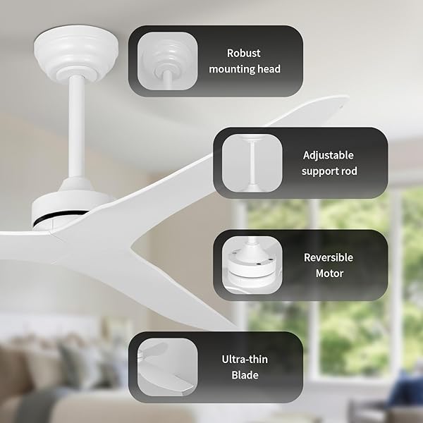 ITNI CEILING FANS WITHOUT LIGHT,52 INCH CEILING FAN WITH REMOTE CONTROL,3 REVERSIBLE BLADE,WHITE CEILING FAN FOR BEDROOM, LIVING ROOM,HALLWAY