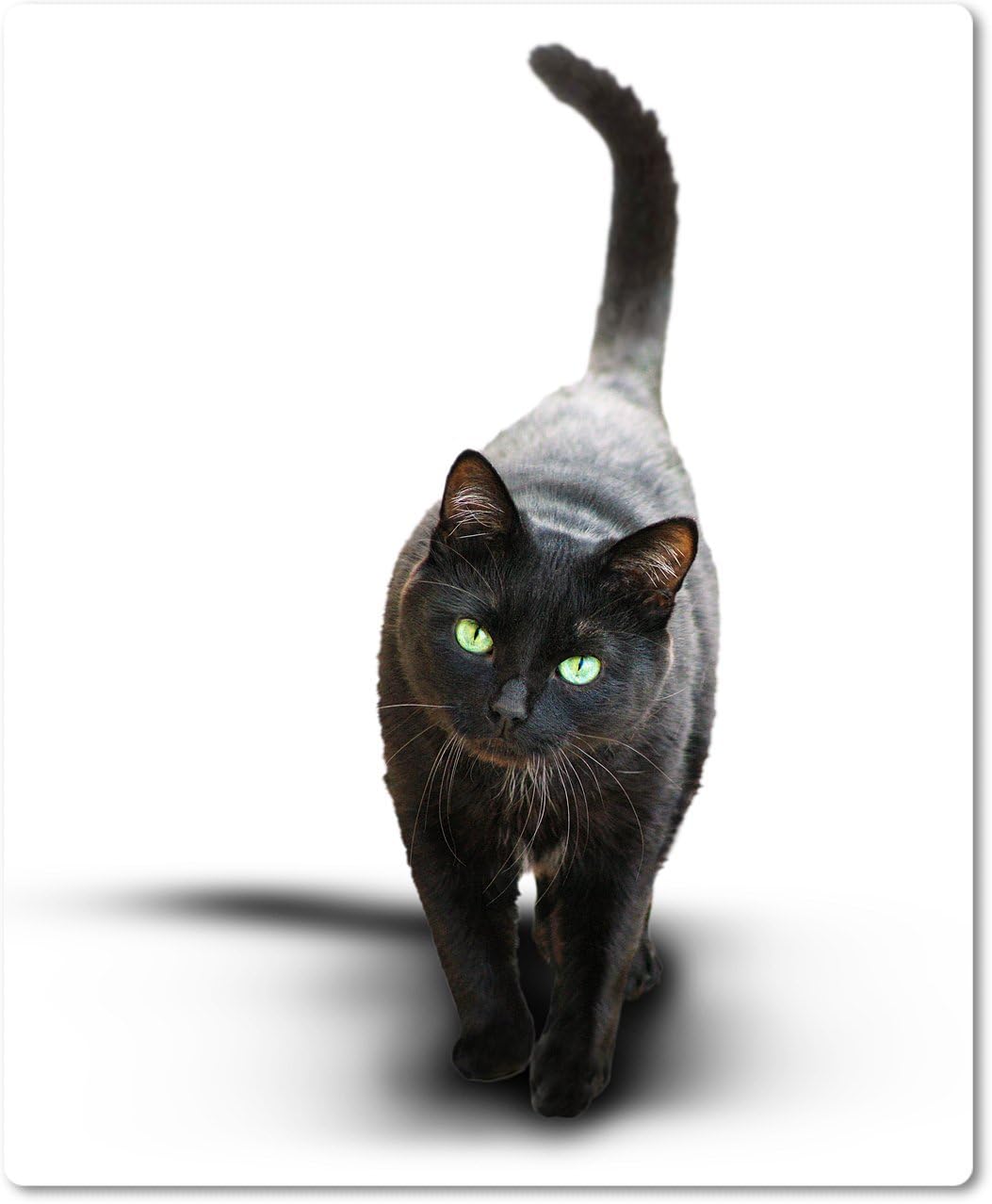 Mouse Mat [05] Black Cat with Green Eyes