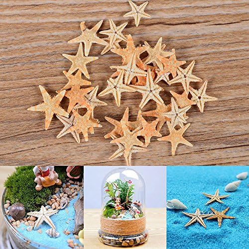 MangGaStore 50Pcs New Ocean Multi Starfish Sea Star Craft Table Decor Aquarium Fish Tank Hot Set 63