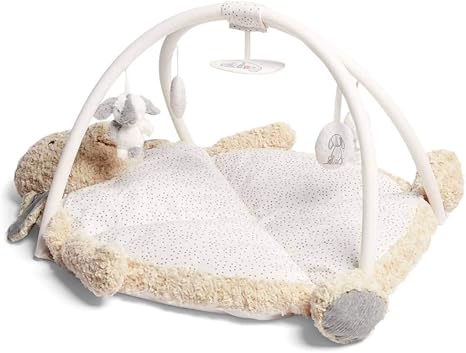 mamas and papas play gym