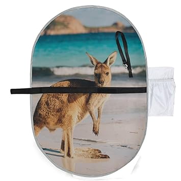 kangaroo changing station