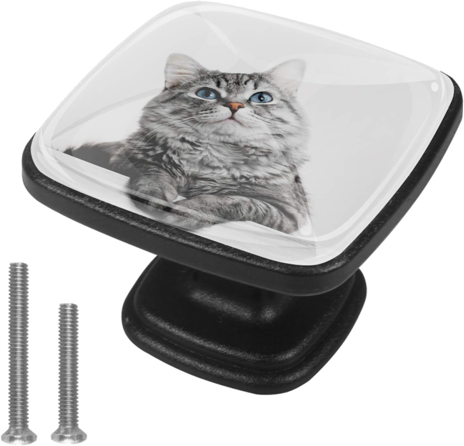 Gabinete perillas y tiradores Lindo gato gris Perillas para estanterías