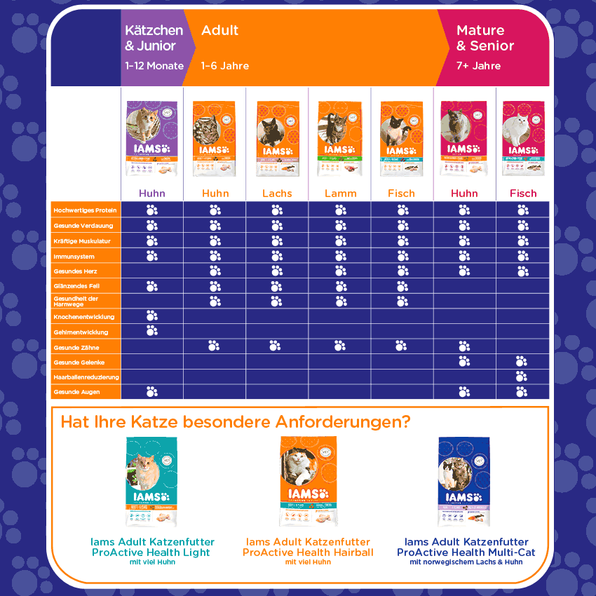 bestes trockenfutter fr hunde Hunde Trockenfutter online bestellen