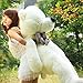 Fengheshun 180 Cm Super Giant Teddy Bear Outer Cover Animal Toy Huge Bear Shell Purple (Not Filled),Give Girlfriend The Best Gift On Valentine's Day (White, 1.8m)