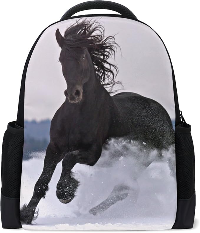 Fresion backpack Clearance