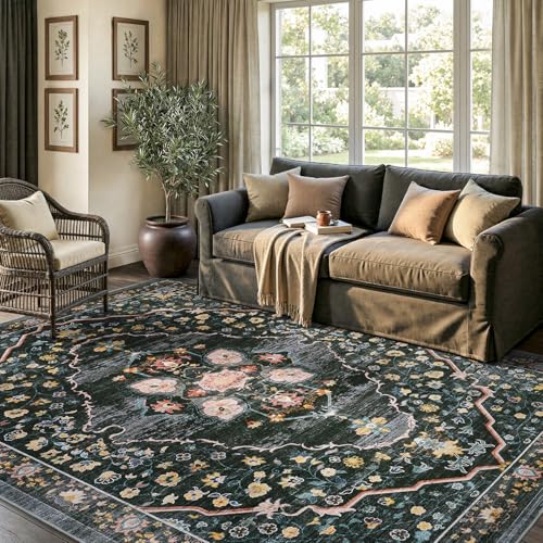 Retro Rugs for Living Room Area Rug-Carpet 5x7 Vintage Living Room Rugs for Bedrooms Dining Office Room Black