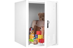 KAER Lockable Metal Locker - 19.6" H, 1 Door Cabinet Organizer for School, Office, Home, Preschool, Garage, Storage Room - Assembly Required