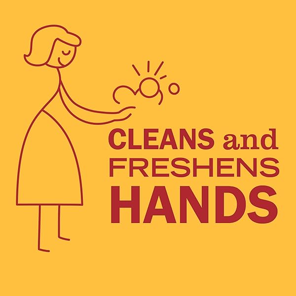 MRS. MEYER’S CLEAN DAY HAND SOAP, CLEMENTINE SCENT, 12.5 FL OZ BOTTLE