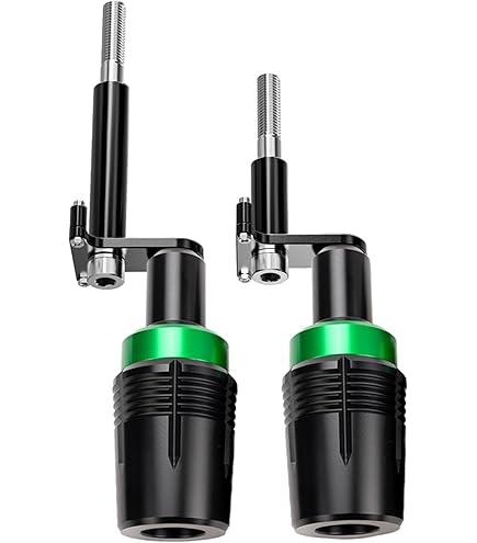 パーマネントバケーション ジェイスキンク Five-Lined Skink (Reptiles